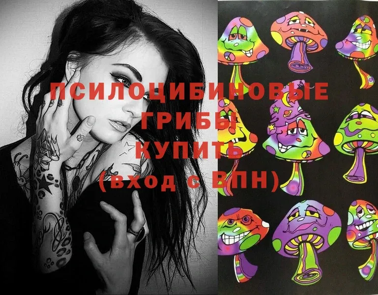 Галлюциногенные грибы Psilocybe  закладка  Кадников 